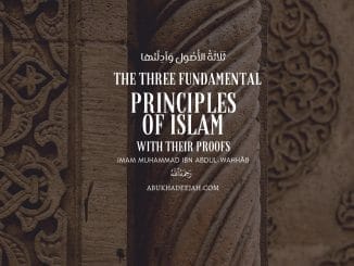 Three principles web