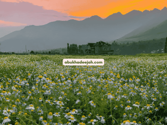 fields hills hijrah