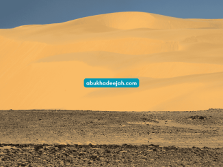 desert landscape
