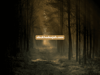 dark forest trees