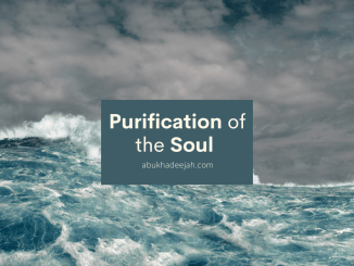 Purification of the Soul v2