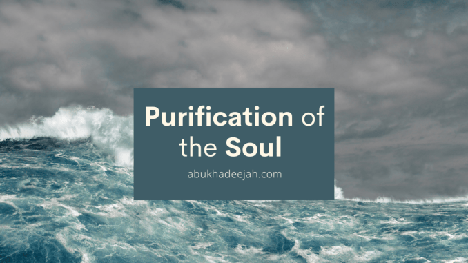 Purification of the Soul v2